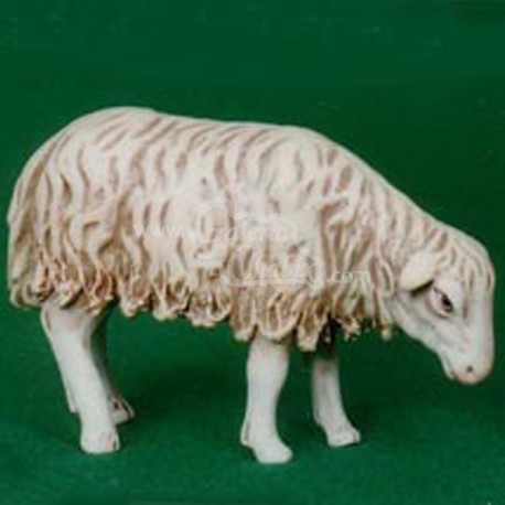 Cordero