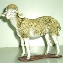 Oveja de pie