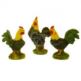 Gallinas Surtidas