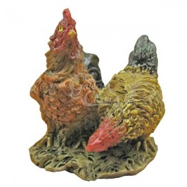 Gallo/gallina