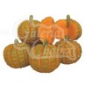 Calabazas