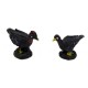 Pavos