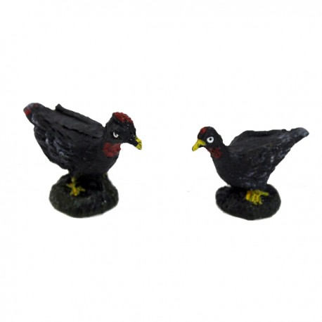 Pavos