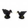 Pavos