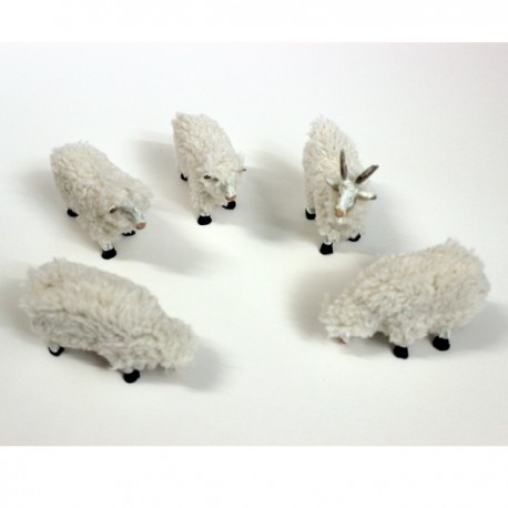 Cabras y ovejas con lana