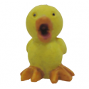 Pollito Naif