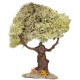 Arboles de 18cms con musgo