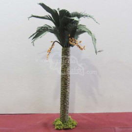 Palmera